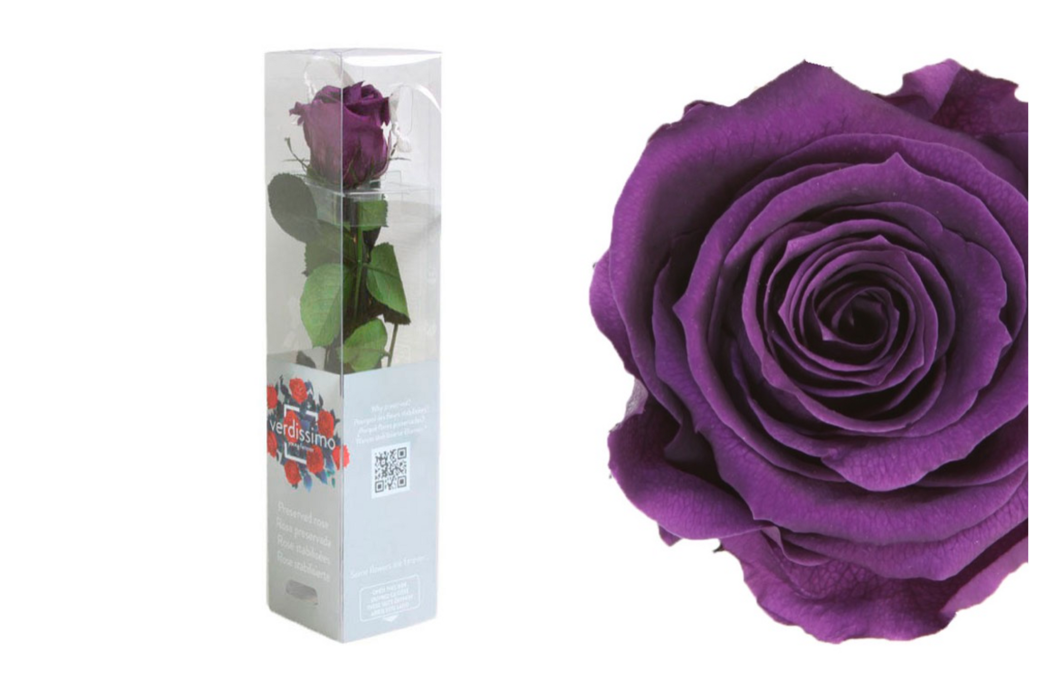 Cuidados y consejos – Etiquetado Rosas eternas– Florería Violeta